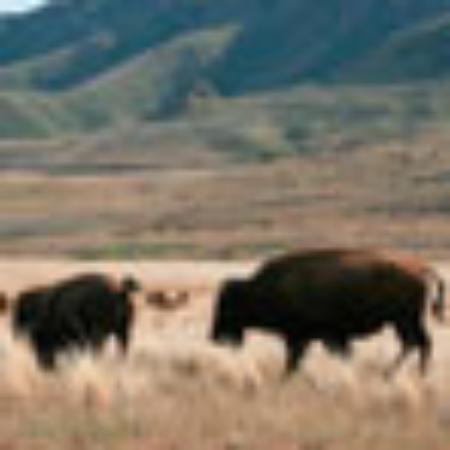 Azzurro Ristorante Italiano